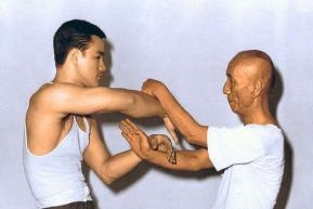 bruce and ip man